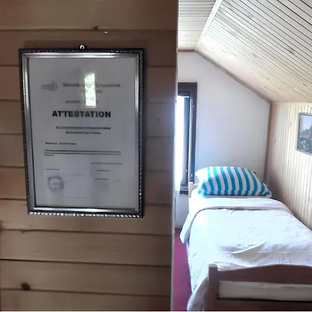 Cozy House In With Garden