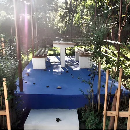 Dom wakacyjny Cozy House In With Garden *