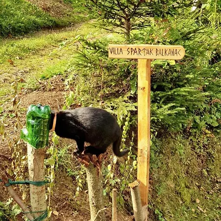 Dom wakacyjny Cozy House In With Garden *